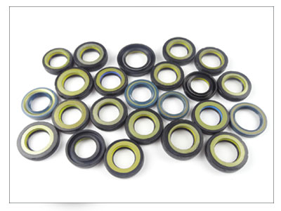 Power steering oil seal