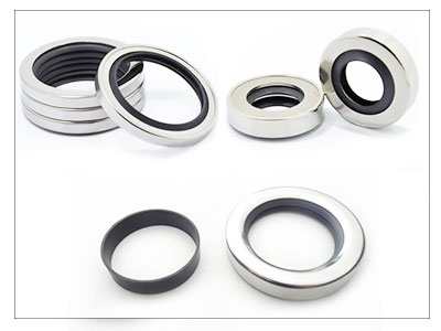 Stainless Seal